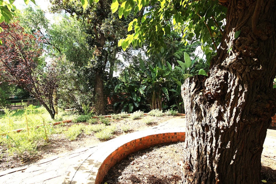 3 Bedroom Property for Sale in Waverley Free State